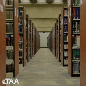 buy argumentative essay rebuttals